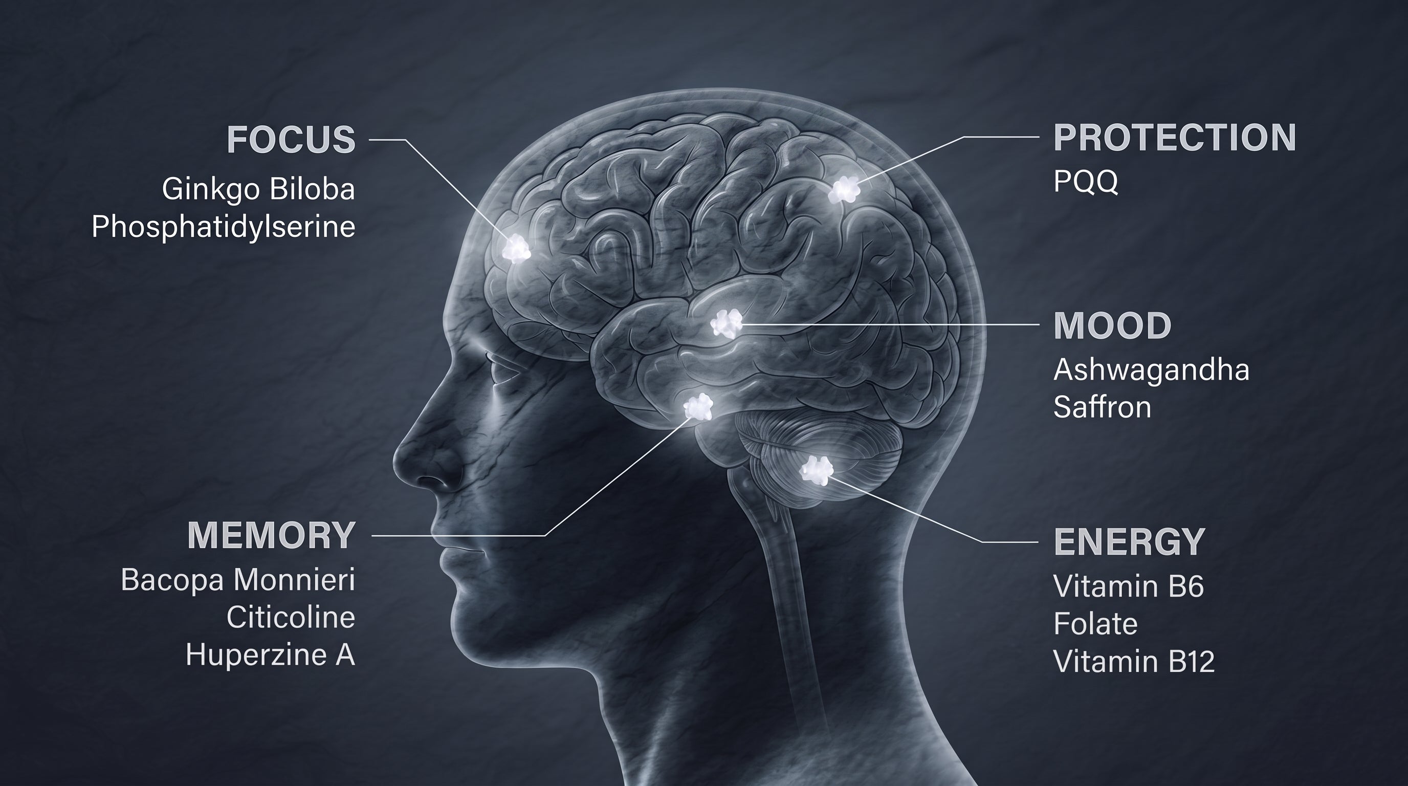 The map of the mind: nine ingredients across five systems